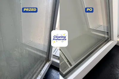 Cleaning Profservice - Usługi Sprzątające